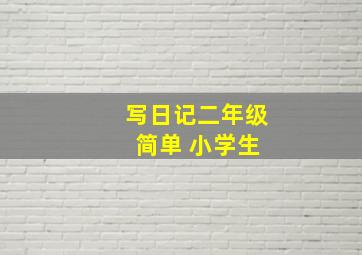 写日记二年级 简单 小学生